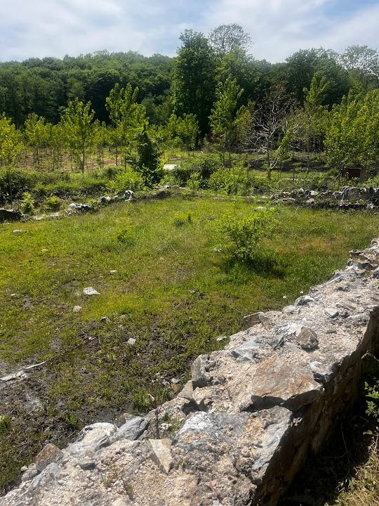 Yorum fotoğrafı 14