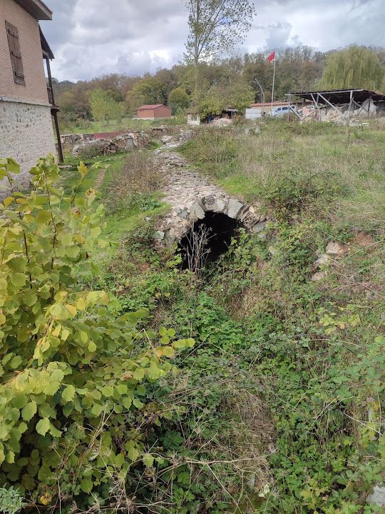 Yorum fotoğrafı 12