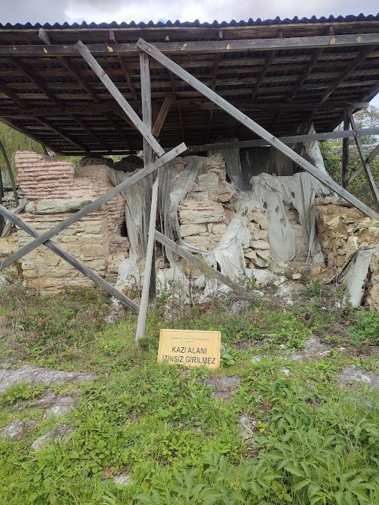 Yorum fotoğrafı 24