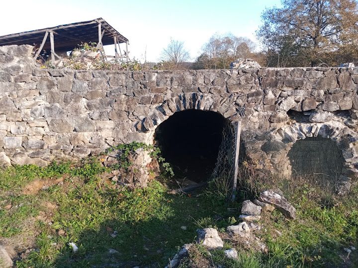 Yorum fotoğrafı 43