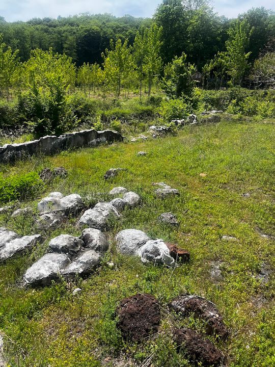 Yorum fotoğrafı 15