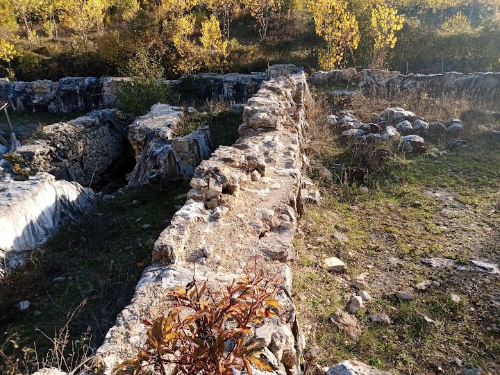 Yorum fotoğrafı 33