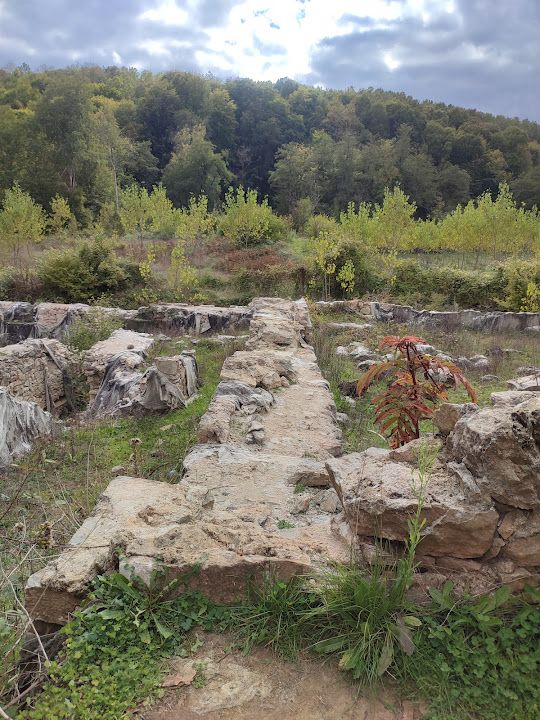 Yorum fotoğrafı 13