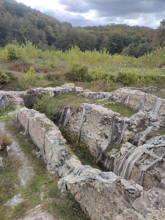 Yorum fotoğrafı 10
