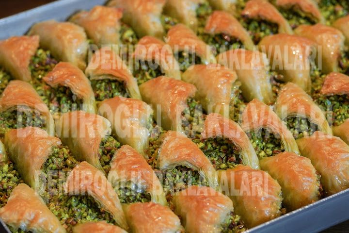 Fotoğraf 12