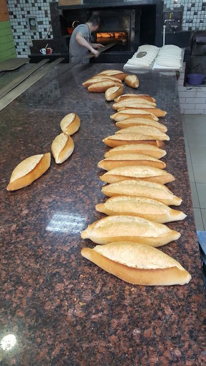 Fotoğraf 10