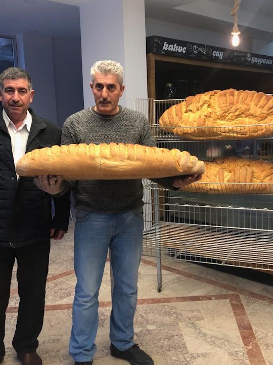 Fotoğraf 15