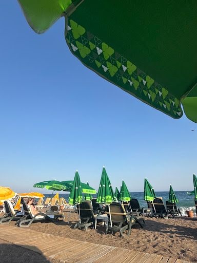 Fotoğraf 13