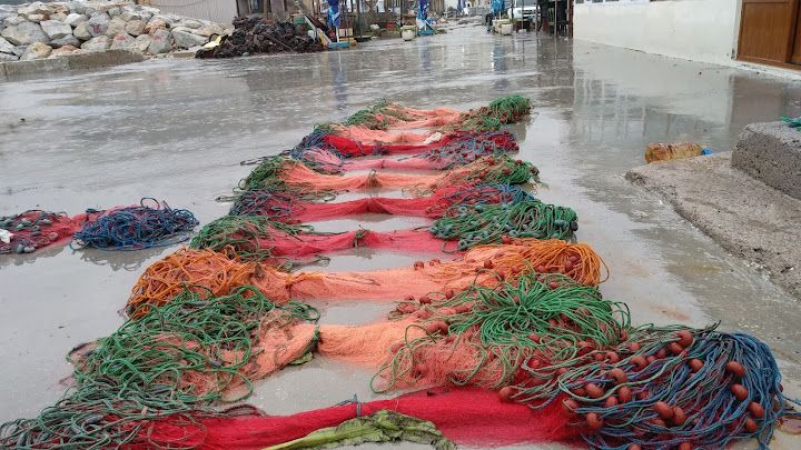 Fotoğraf 42