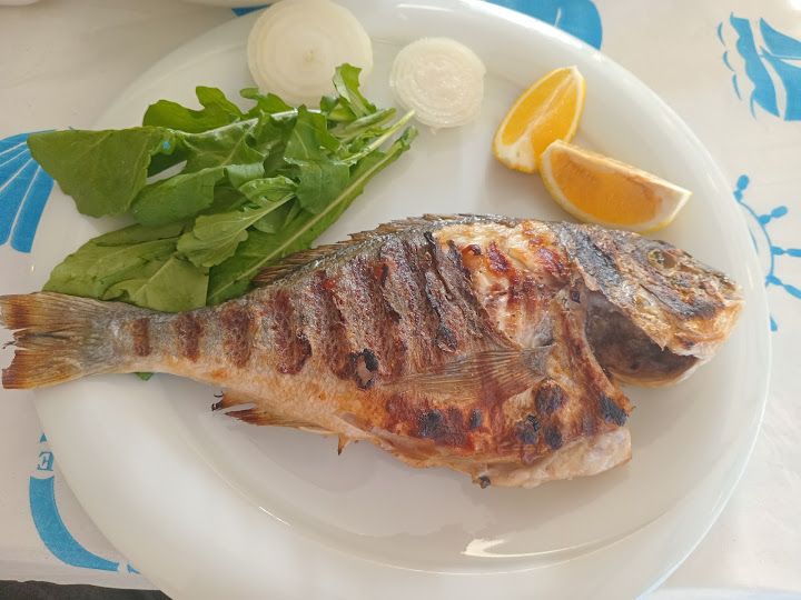 Fotoğraf 19