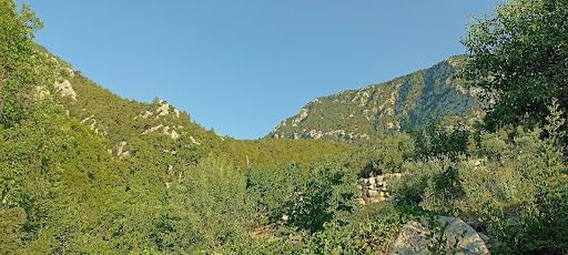 Yorum fotoğrafı 6