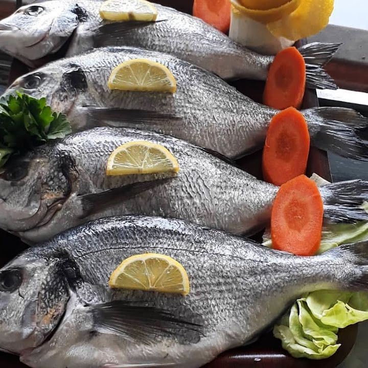 Fotoğraf 28