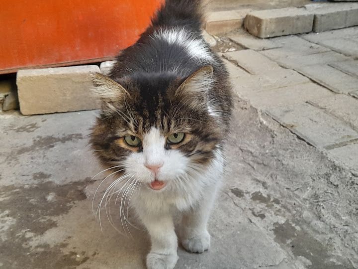 Yorum fotoğrafı 2