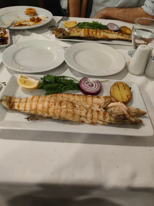 Fotoğraf 17