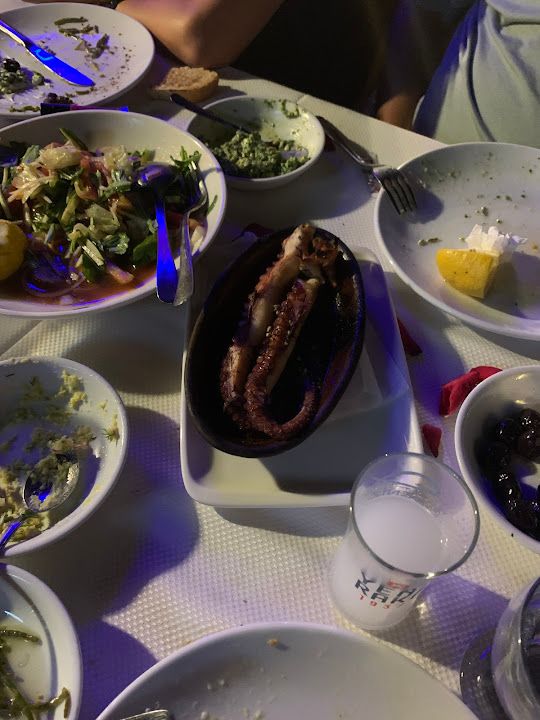 Fotoğraf 47