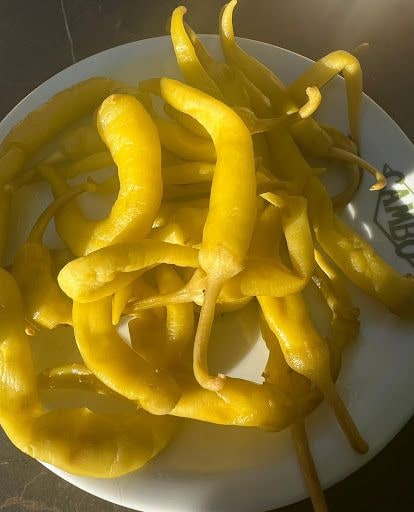 Yorum fotoğrafı 7