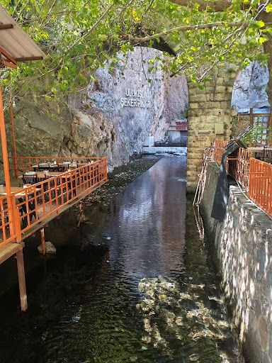 Yorum fotoğrafı 4