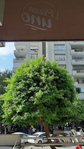 Yorum fotoğrafı 4