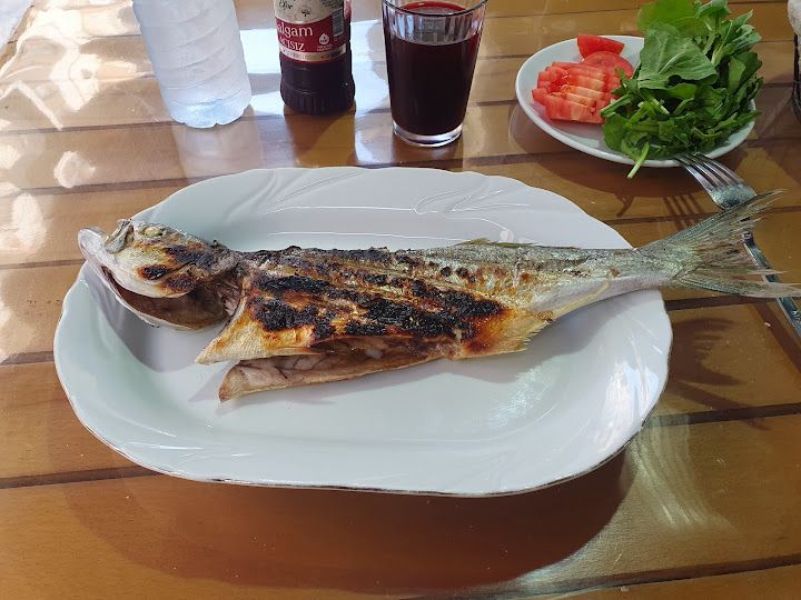 Fotoğraf 11