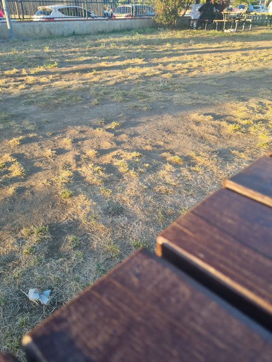 Fotoğraf 27
