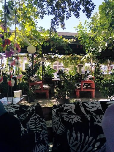 Fotoğraf 23