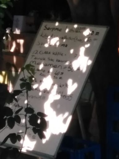 Fotoğraf 24