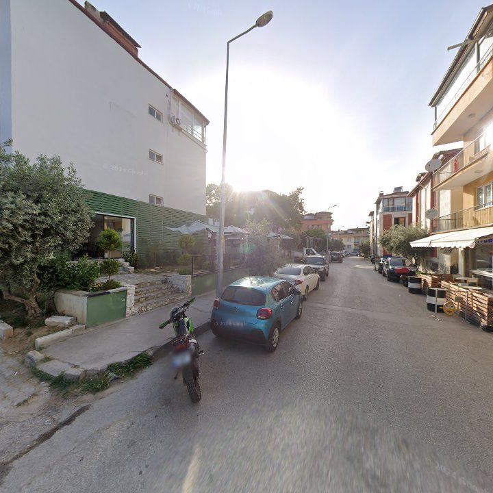 Fotoğraf 12
