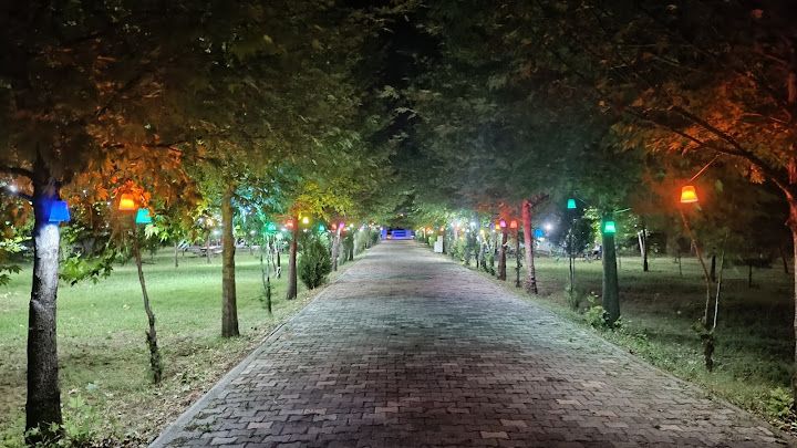 Yorum fotoğrafı 4