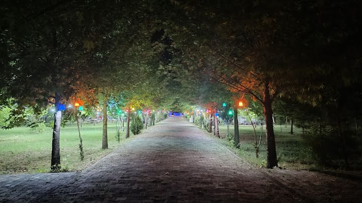 Yorum fotoğrafı 3