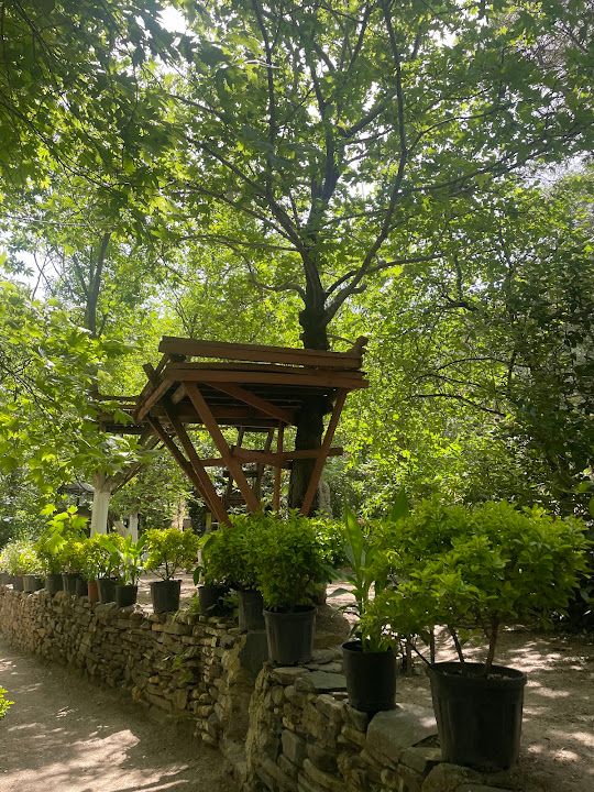 Yorum fotoğrafı 4
