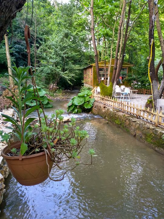 Fotoğraf 21