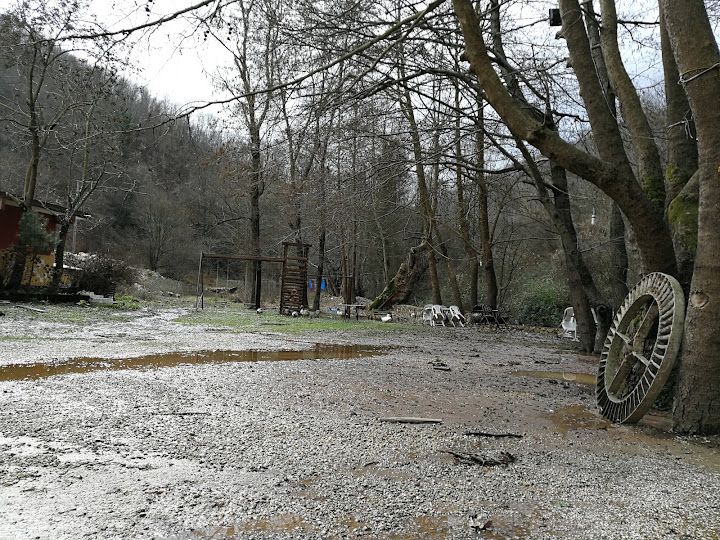 Fotoğraf 50