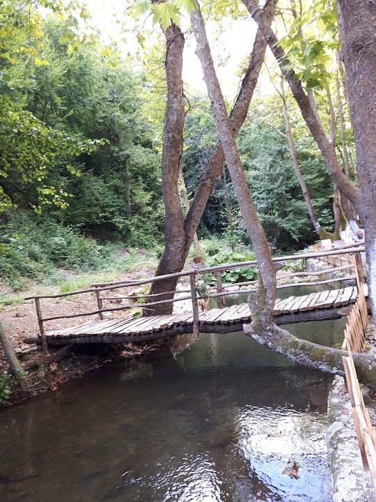 Fotoğraf 28