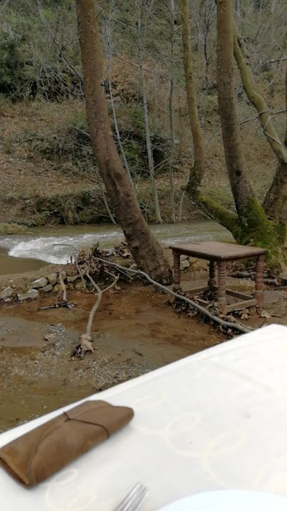 Fotoğraf 49