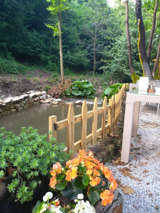 Fotoğraf 23