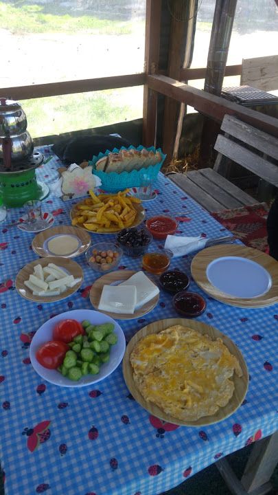 Fotoğraf 17