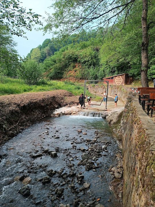 Fotoğraf 35