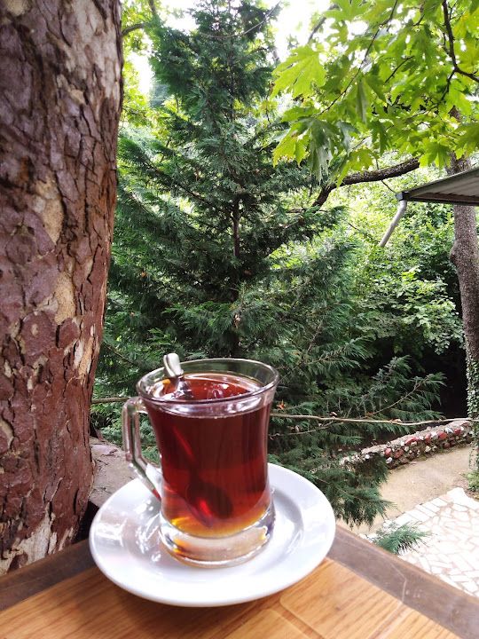 Fotoğraf 34