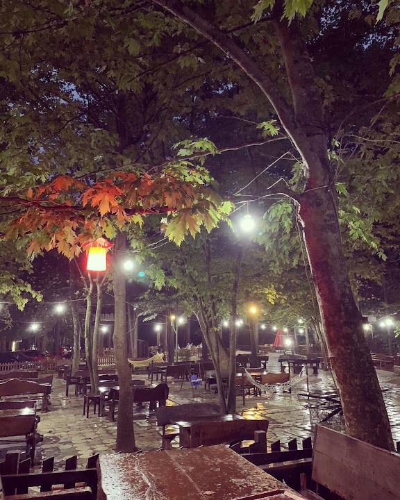 Fotoğraf 66