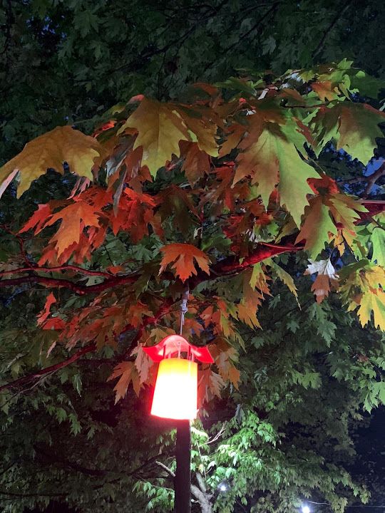 Fotoğraf 65