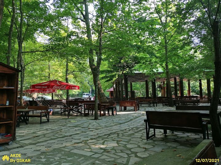 Fotoğraf 59