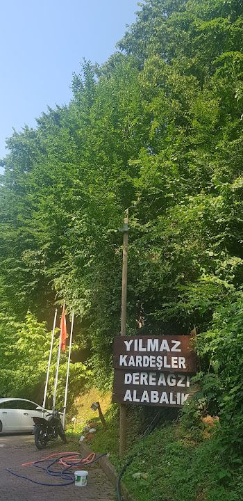 Fotoğraf 60