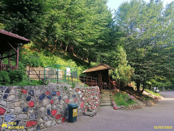 Fotoğraf 57