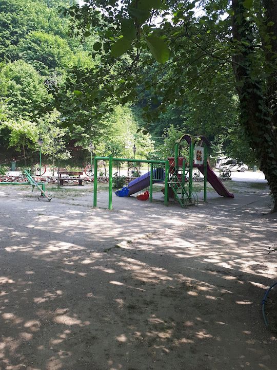 Fotoğraf 72