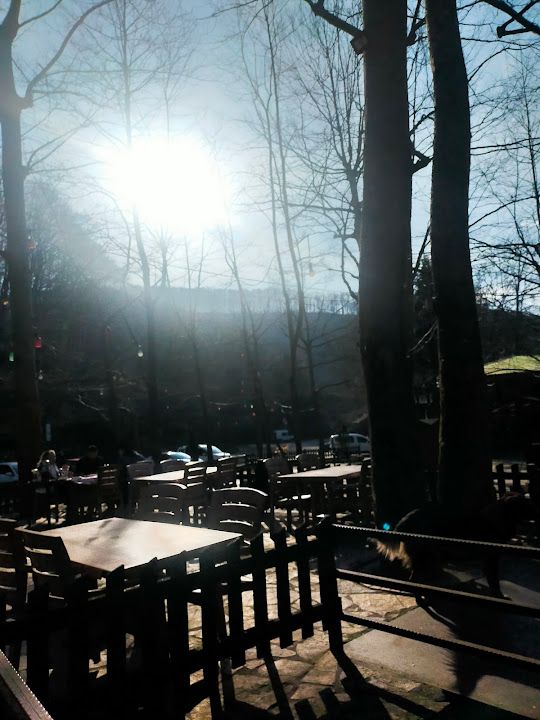 Fotoğraf 50