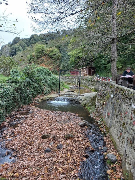 Fotoğraf 55