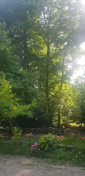 Fotoğraf 63
