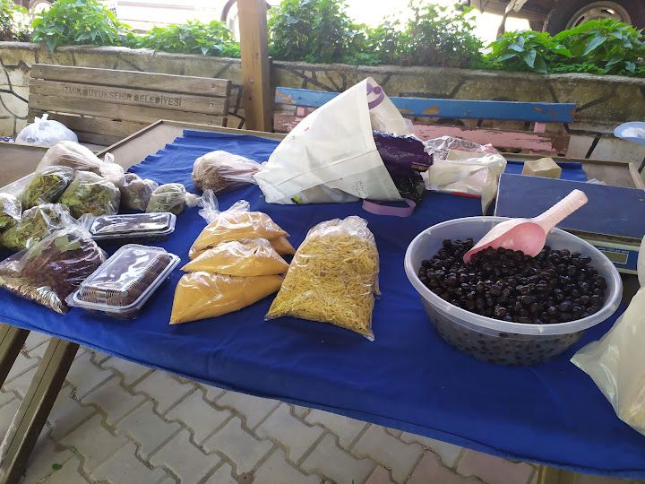 Fotoğraf 10