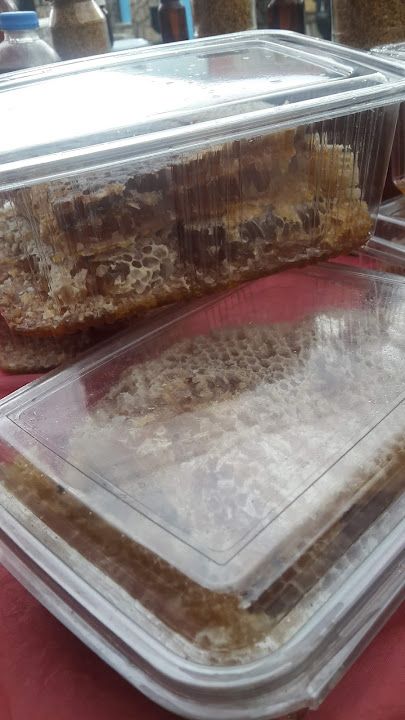 Fotoğraf 15