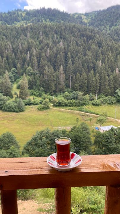 Nurcanın Yeri Uzundere